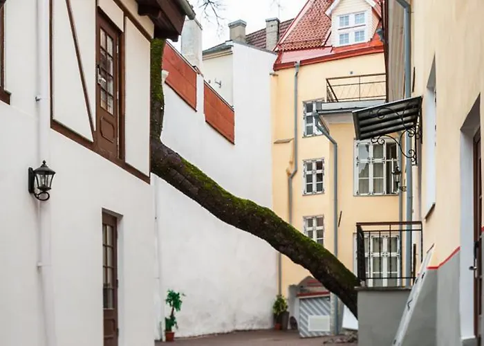 쓰리 크라운 레지던츠 3* 탈린