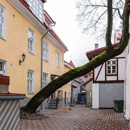 スリー クラウンズ レジデンツ ホテル 3*